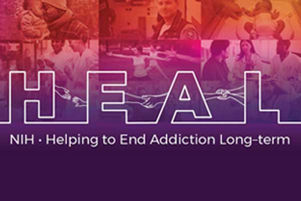 NIDA Announces New NIH HEAL Initiative Awards To Address The Opioid ...