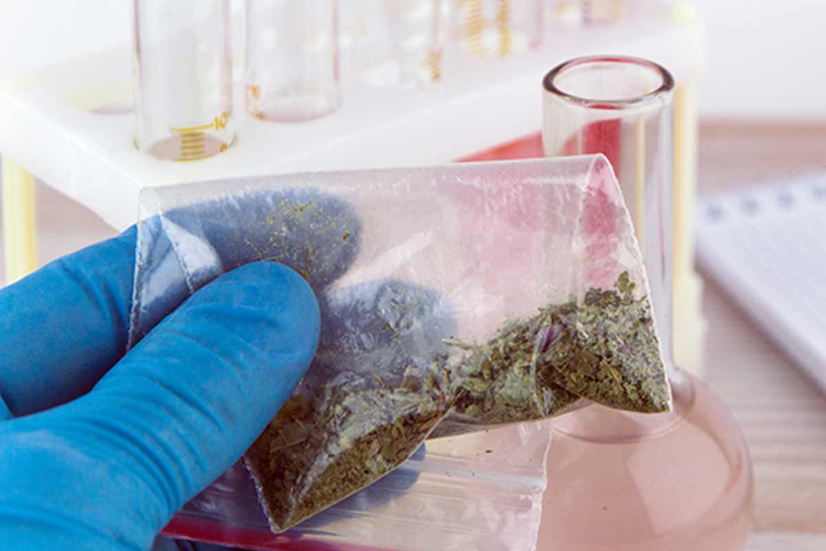 synthetic-cannabinoids-k2-spice-national-institute-on-drug-abuse-nida