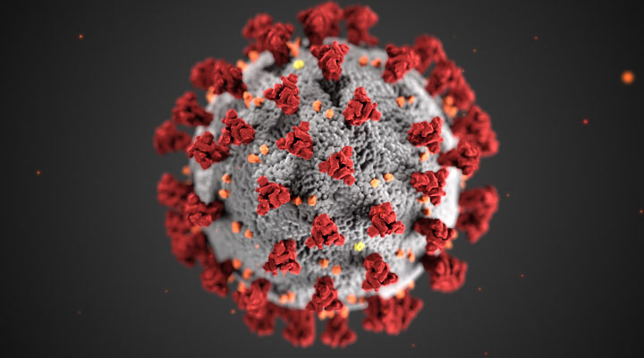 COVID-19 virus visualization
