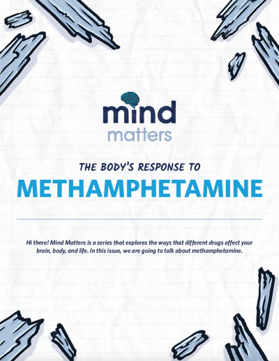 Mind Matters: The Brain's Response to Methamphetamine cover