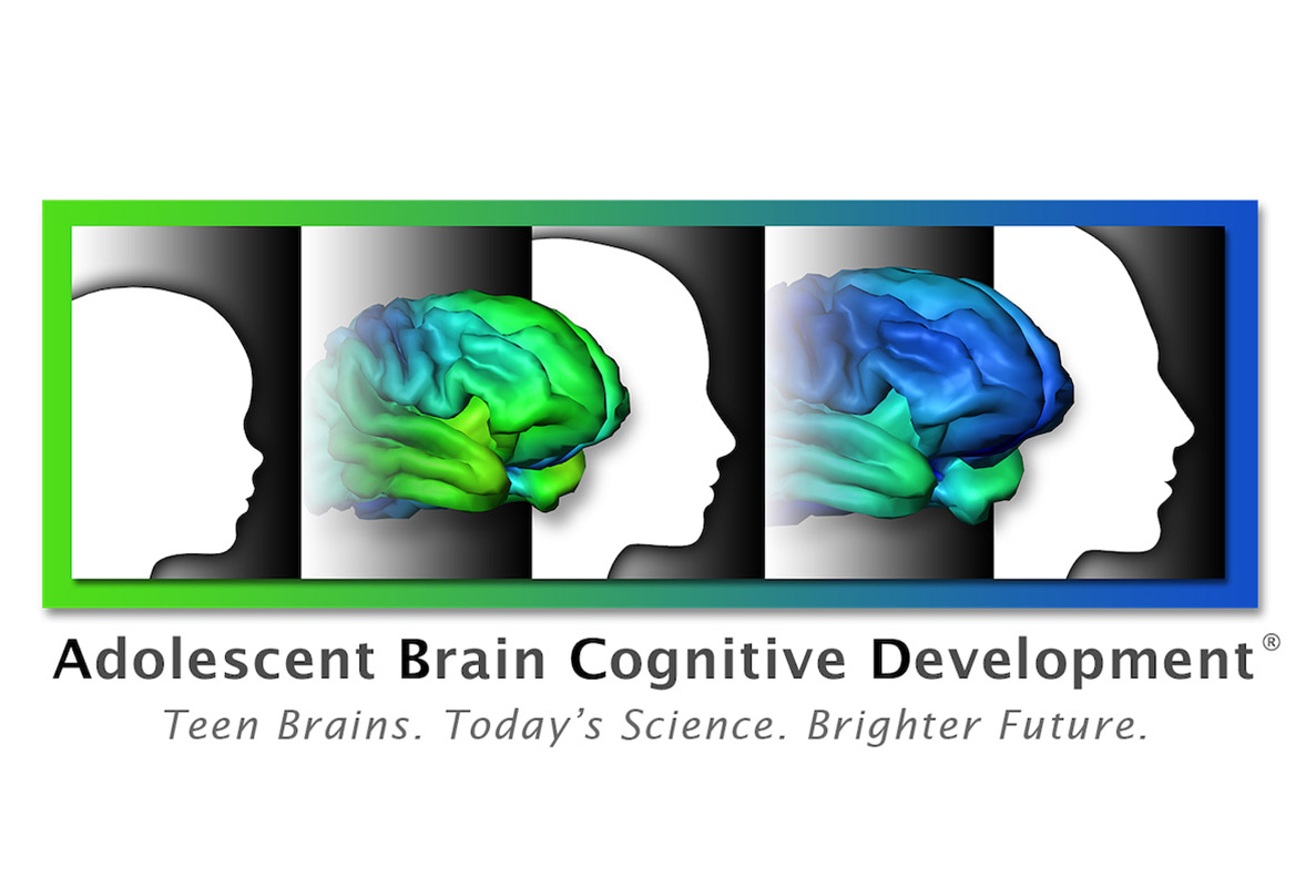 Adolescent Brain Cognitive Development℠ Study (ABCD Study