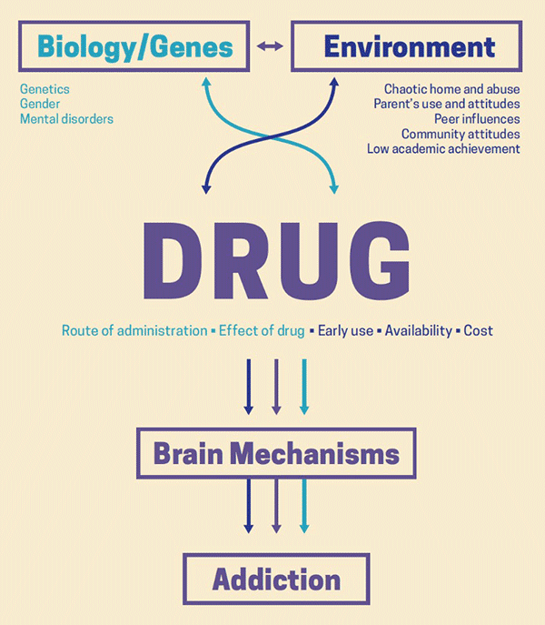 Is Drug Addiction Genetic?