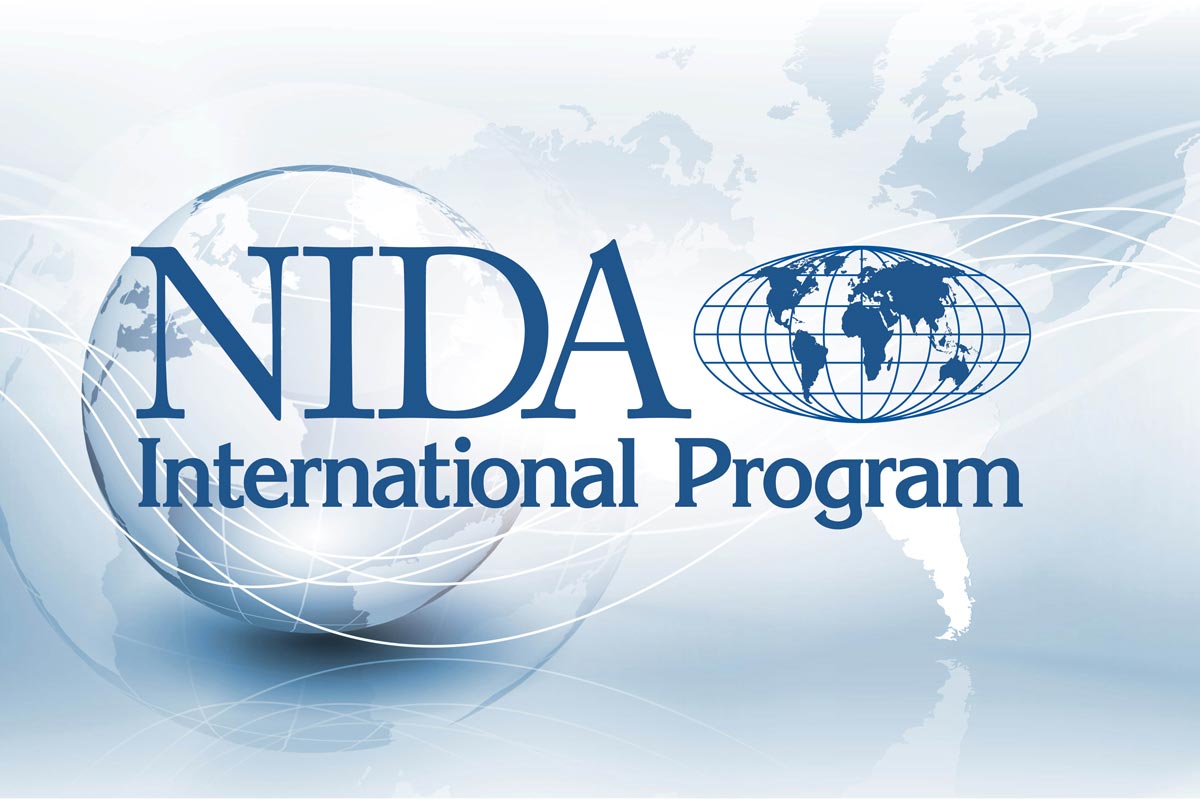 International Program logo