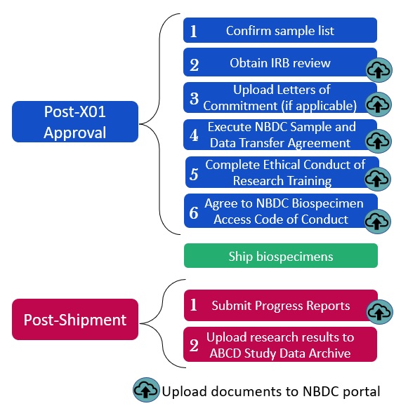 Post-X01 approval and post-shipment activities process flow.