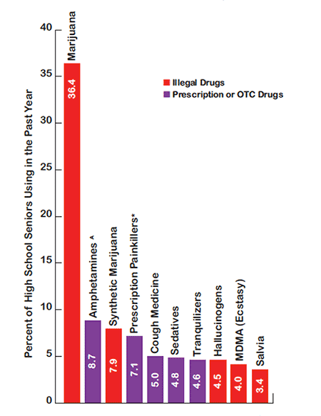 Principles Of Drug Abuse Treatment For Adolescents Summary National