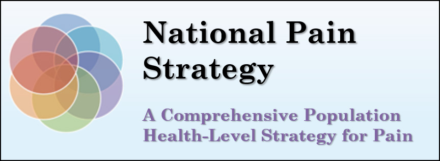 The National Pain Strategy