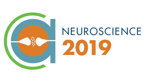 Society for Neuroscience 2019 meeting logo depicting molecules in a synapse 