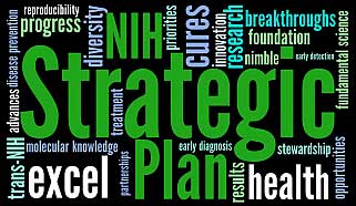 Word art image for NIH Strategic Plan