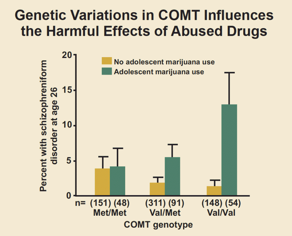 Bar graph comparing AKT1 gene variants and their carriers' risk for psychosis