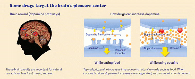 high drug tolerance