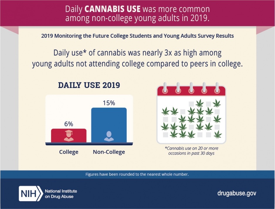 Daily cannabis use was more common among non-college young adults in 2019