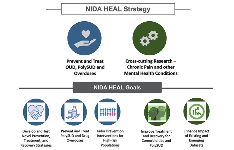NIDA/HEAL Strategy: Prevet and treat OUD, PolySUD and Overdoses; Cross-cutting Research- Chronic Pain and other Mental Health Conditions. NIDA/HEAL Goals: Develop and test novel prevention, treatment, and recovery strategies. Prevent and treat PolySUD and drug overdoses. Tailor prevention interventions for high-risk populations. Improve treatment and recovery for comorbidities and PolySUD. Enhance impact of existing and emerging datasets.