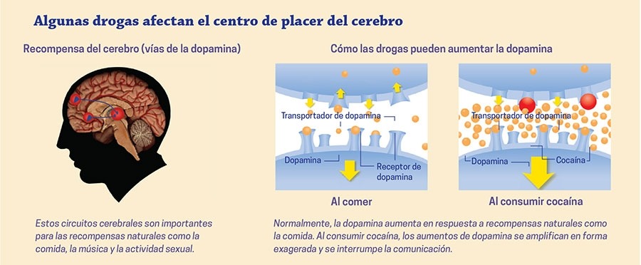 Trascendencia Meteorito Horizonte Informacion Sobre Los Tipos De Drogas ...