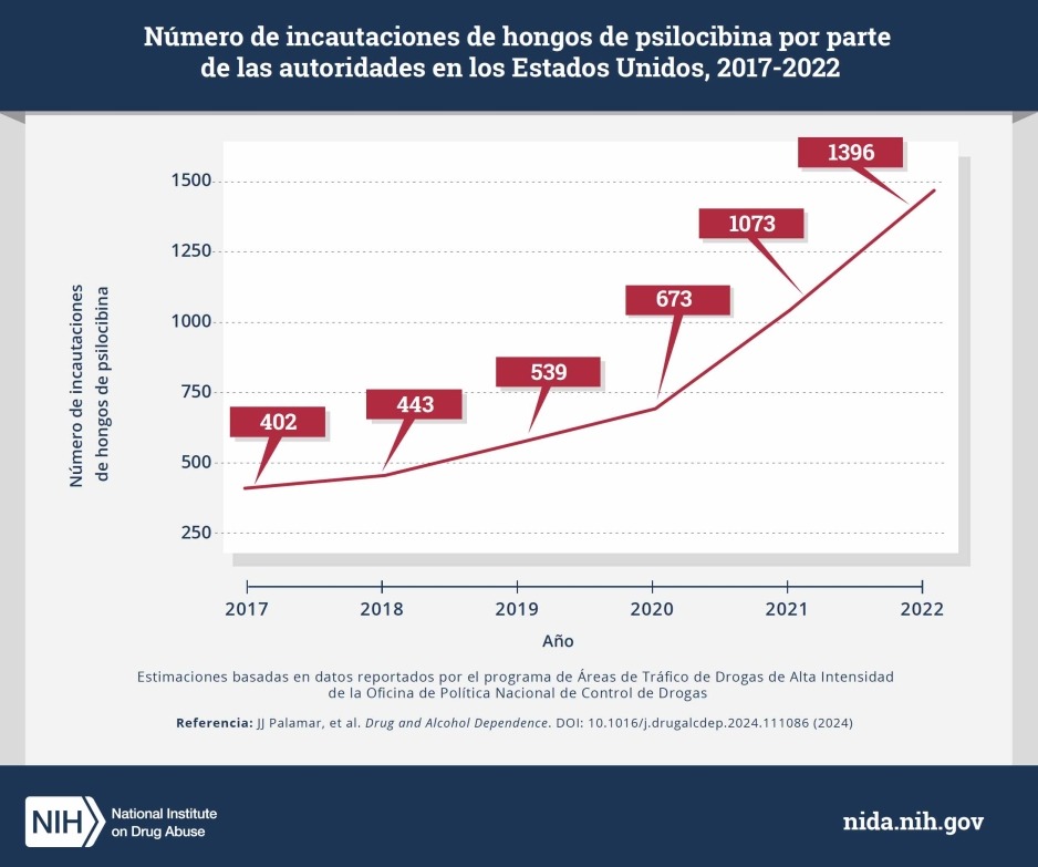 Un gráfico de líneas que muestra el número de incautaciones de hongos de psilocibina por año por parte de las autoridades. El año se representa en el eje X y el "Número de incautaciones de hongos por parte de las autoridades" se representa en el eje Y. Estos son los valores. 2017 = 402 2018 = 443 2019 = 539 2020 = 673 2021 = 1073 2022 = 1396