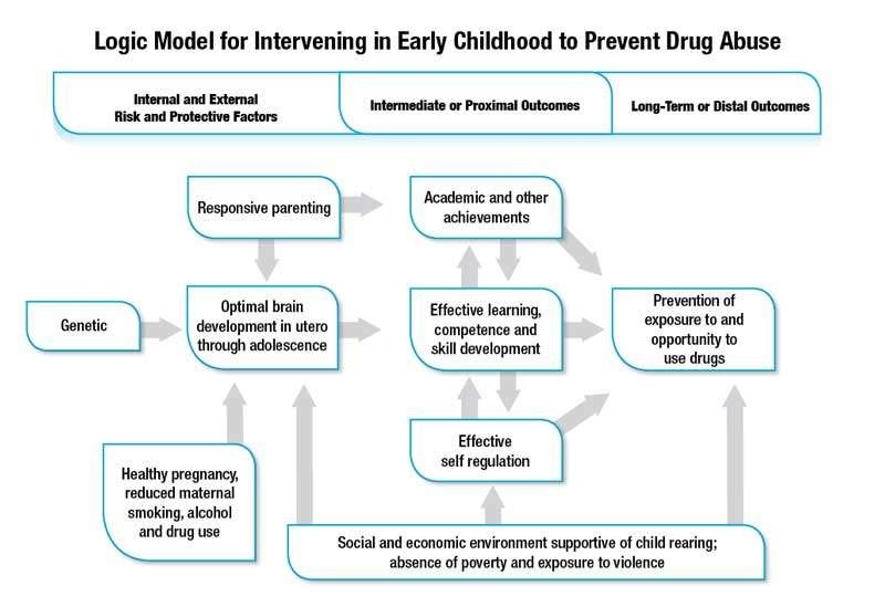 Logic model for intervening in early childhood to prevent drug abuse