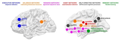 Image identifies six large-scale brain networks that show aberrant activation levels in people with addiction, including which task aspect each network supports.