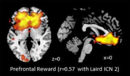 E-cigarettes affected activity in the prefrontal reward network