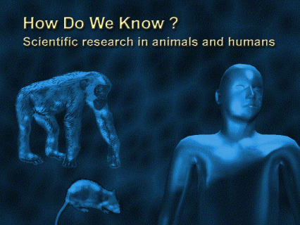 Images of monkey, rat and human - how animal research is important