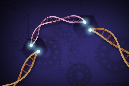 Illustration of CRISPR Cas-9 segmenting DNA strands