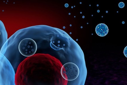 Neuron and receptor graphic