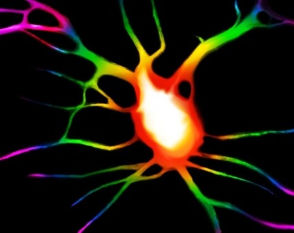Neuron illustration