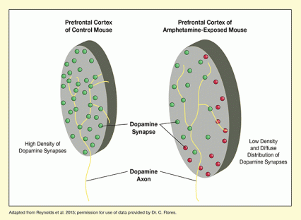 Media Name: cuesta_figure-1.gif