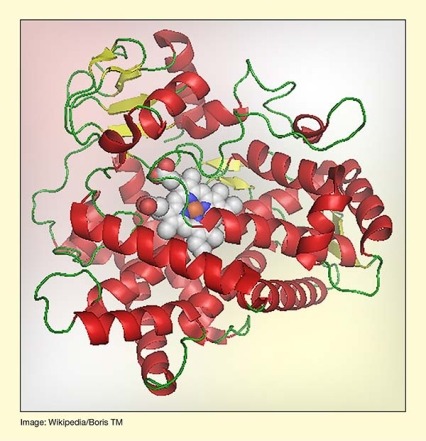 Three-Dimensional Structure of the CYP2D6 Protein, the Liver Enzyme That Is Thought To Metabolize JPC-077