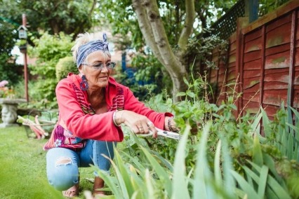 An older woman kneeling outside and trimming plants in a garden.