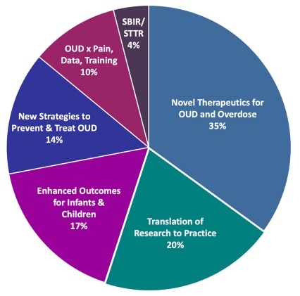 Novel Therapeutics for Opioid Use Disorder and Overdose - 35%; New Strategies to Prevent and Treat Opioid Addiction - 14%; Translation of Research to Practice for the Treatment of Opioid Addiction - 20%; Enhanced Outcomes for Infants and Children Exposed to Opioids - 17%; OUD x Pain, Data, Training - 10%; SBIR/STTR - 4%