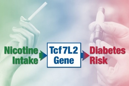Image showing Nicotine intake to Tcf7L2 Gene to Diabetes Risk