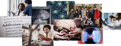 NIDA Summer Research Internship Program photo collage