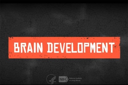 Screen shot of Teen Brain Development video