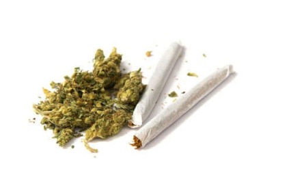 El Canabis (marihuana) – DrugFacts