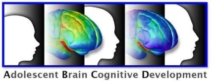 ABCD logo - brains at various levels of development according to age