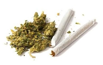 Pictures of dried marijuana and joints.