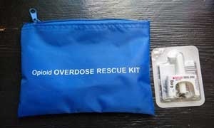 Naloxone overdose reversal kit