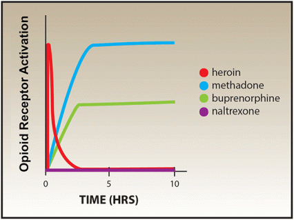 Line graph comparing opioid receptor activity for heroin, methadone, buprenorphine, and naltrexone. Refer to image caption for details.
