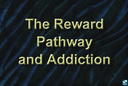 The reward pathway and addiction