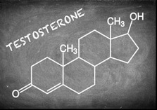 An image of the chemical structure for testosterone