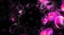 HIV molecule