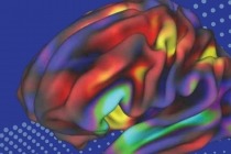 Image of colorful brain