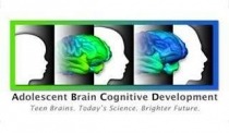 ABCD logo