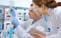 Researchers in a lab