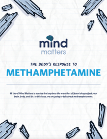 Mind Matters: The Brain's Response to Methamphetamine cover