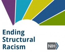 Ending structural racism logo