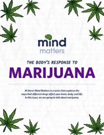 Mind Matters: The Body's Response to Marijuana
