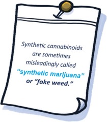 Synthetic cannabinoids are sometimes misleadingly called 'synthetic marijuana' or 'fake weed'.