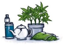 A marijuana potted plant, a bag of marijuana, and a tea pot
