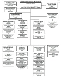 NIDA HQ Org Chart