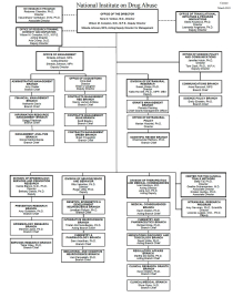 NIDA HQ Org Chart March 2023